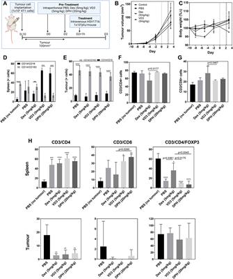 Inconsistencies in Modeling the Efficacy of the Oncolytic Virus HSV1716 Reveal Potential Predictive Biomarkers for Tolerability